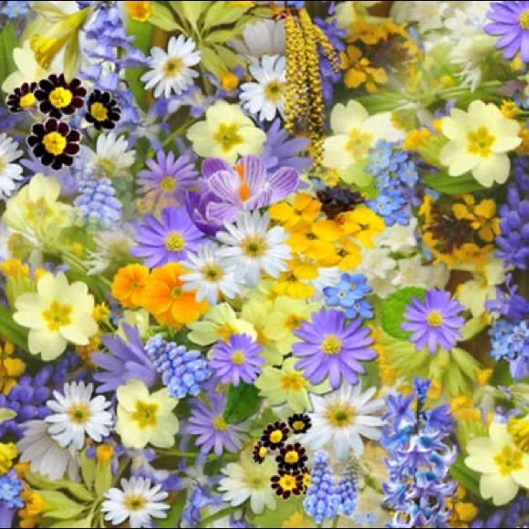 Meet the Posher Other - Meet your Posher, Natasha